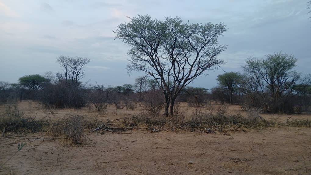 Initial Land Assessment