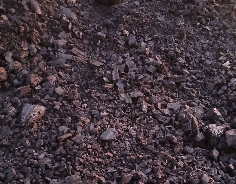 Environmental Monitoring